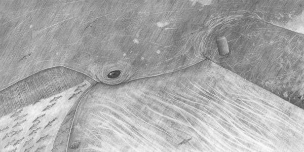 Une illustration en noir et blanc d'une créature marine, probablement une raie, avec des vagues et des poissons en arrière-plan.