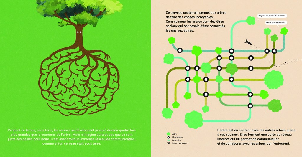 Illustration de racines d'arbre en forme de cerveau sur un fond vert, démontrant la communication entre les arbres grâce à un réseau souterrain.