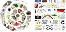 Une illustration circulaire montrant divers éléments naturels comme des coquillages, des plantes, et des fossiles, à gauche; et une collection d'objets du quotidien comme des ciseaux, des horloges, et un ballon de football, à droite.