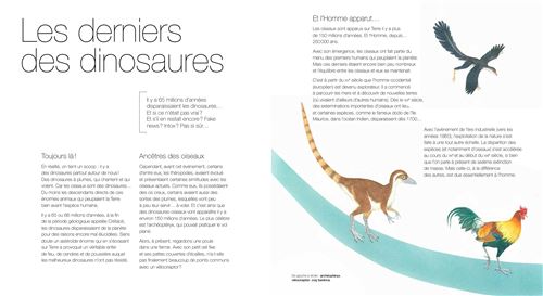 Une double page d'un livre sur les derniers dinosaures, avec un texte explicatif en français et des illustrations d'oiseaux comme un aigle, un dinosaure ressemblant à un oiseaux et un coq.