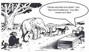 Une illustration humoristique montrant divers animaux, dont un singe, un éléphant, des pingouins et un chien, devant un homme assis à une table, avec un discours sur l'égalité et un test auquel tous doivent se soumettre.