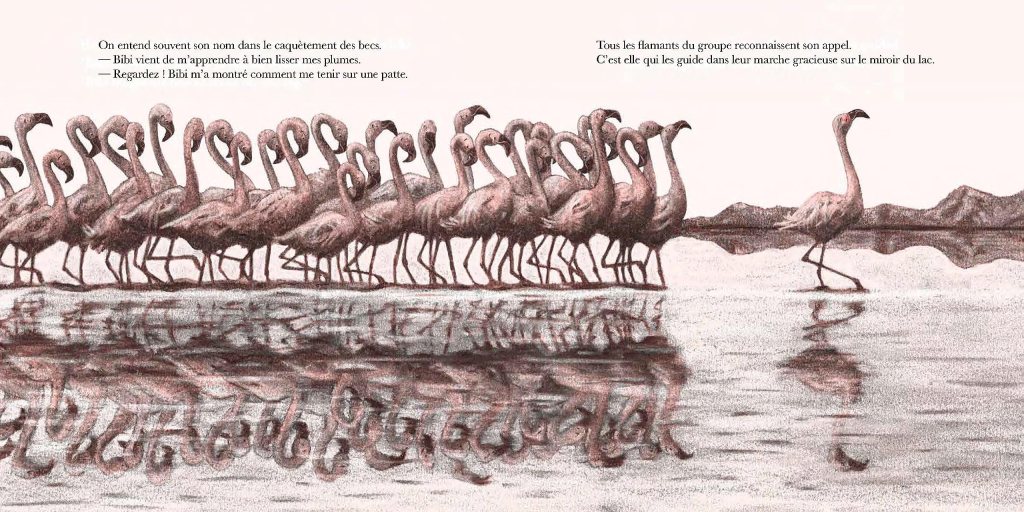 Un groupe de flamants roses marchant dans l'eau avec des montagnes en arrière-plan.