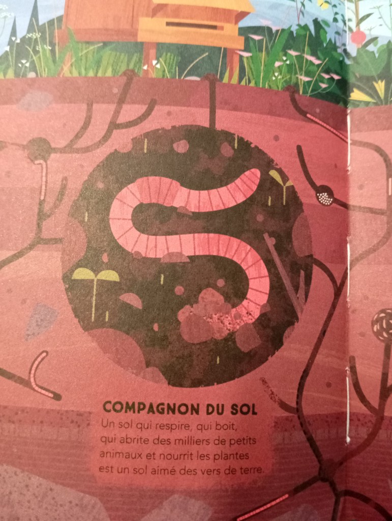 Illustration d'un sol avec des vers de terre et des racines, accompagnée de texte sur l'importance du sol.