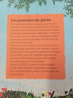 Un extrait d'article sur les bienfaits du purin dans le jardinage, expliquant son utilisation comme engrais naturel et son rôle dans l'élimination des parasites.