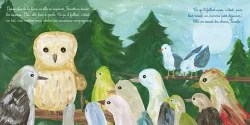 Illustration d'une chouette entourée de plusieurs oiseaux colorés perchés sur une branche, avec des conifères en arrière-plan et une lune dans le ciel.