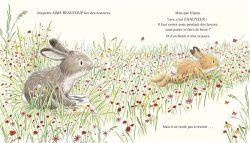 Une illustration d'un lapin gris et d'un lapin brun courant à travers un champ de fleurs sauvages.