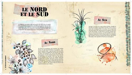 Page d'un livre présentant un contraste entre le Nord et le Sud, avec des illustrations de plantes et des éléments décoratifs. Le texte met en avant les différences culturelles et géographiques entre les deux régions.