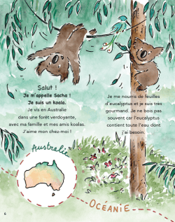 Image illustrée d'un koala nommé Sacha dans une forêt australienne, avec du texte en français décrivant sa vie et son alimentation.