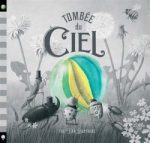 Couverture d'un livre intitulé 'Tombée du Ciel', avec une illustration en noir et blanc d'insectes et de fleurs, et un globe coloré au centre.