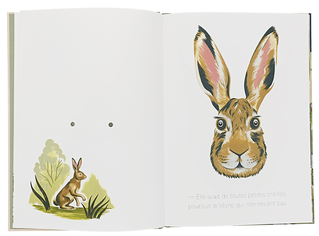 Une page d'album illustré avec un dessin d'un lièvre regardant, à gauche une petite illustration d'un autre lièvre dans l'herbe.