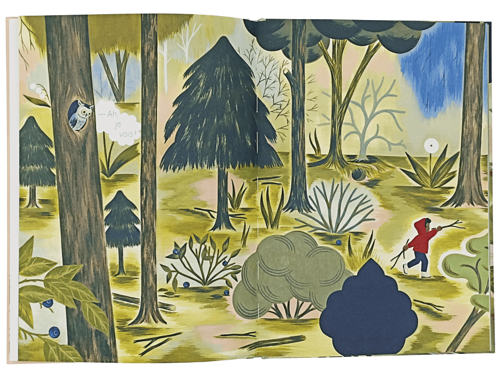 Une illustration colorée d'une forêt avec un personnage en manteau rouge marchant, tenant une branche, tandis qu'une chouette l'observe depuis un arbre. Des plantes et des buissons décorent le paysage.