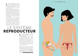 Illustration du système reproducteur humain, montrant un homme et une femme, avec des organes reproducteurs étiquetés.