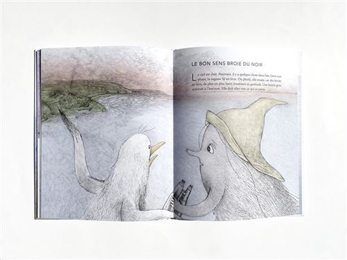 Page d'un livre illustré avec des personnages animés sur un fond de paysage marin. L'un des personnages, un oiseau, semble tenir un objet, tandis qu'un autre personnage, un animal avec un chapeau, regarde attentivement.